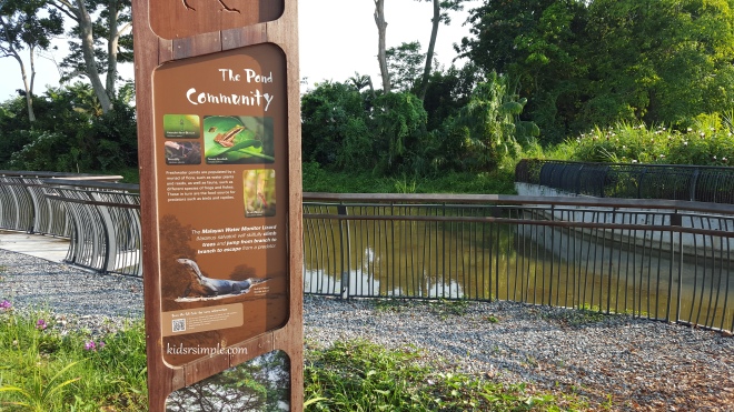 The pond community